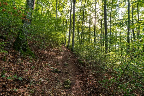 Maravilhosa Caminhada Outono Perto Beuron Parque Natural Alto Danúbio Com — Fotografia de Stock