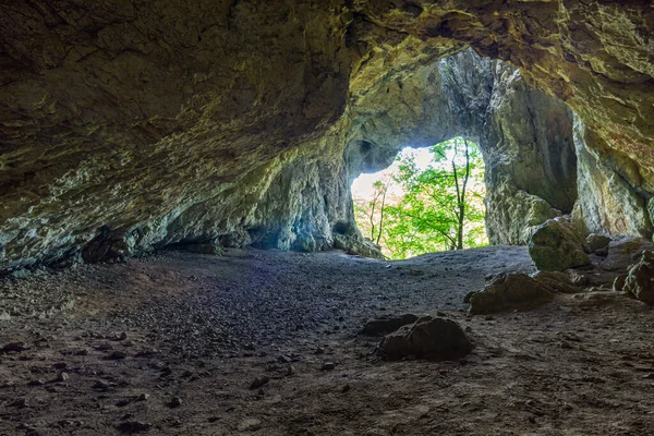 Atemberaubende Tropfsteinhöhlen Naturpark Obere Donau Bei Beuron Sigmaringen — Stockfoto