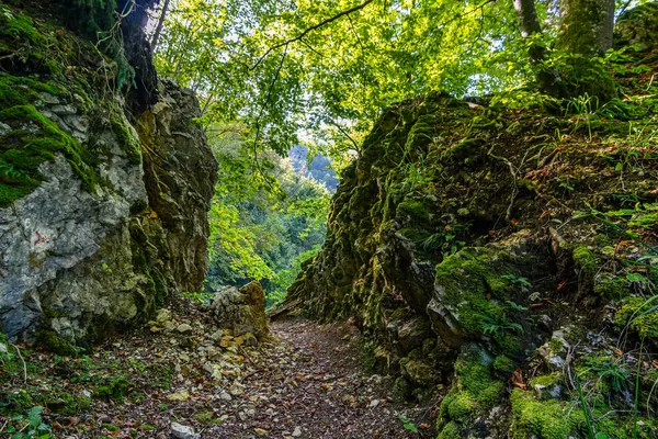 Magnifique Randonnée Automnale Près Beuron Dans Parc Naturel Danube Supérieur — Photo