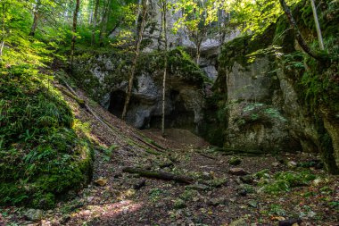 Yukarı Tuna Doğa Parkı 'nda Beuron yakınlarında muhteşem bir sonbahar yürüyüşü. Manzarası ve panoraması var.