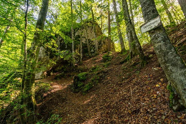 Magnifique Randonnée Automnale Près Beuron Dans Parc Naturel Danube Supérieur — Photo