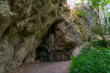 Exploration of some caves in the Upper Danube Valley between Tuttlingen and Sigmaringen clipart