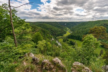 Yukarı Tuna Vadisi 'nde Fridingen ve Beuron arasında popüler dairesel yürüyüş patikası