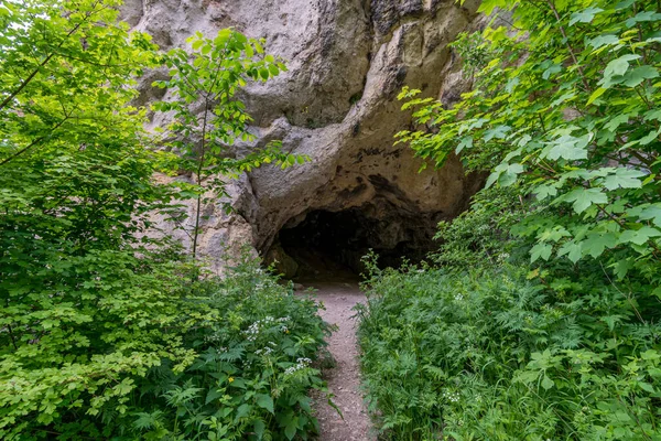 Exploración Algunas Cuevas Alto Valle Del Danubio Entre Tuttlingen Sigmaringen — Foto de Stock
