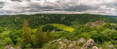 Yukarı Tuna Vadisi 'nde Fridingen ve Beuron arasında popüler dairesel yürüyüş patikası
