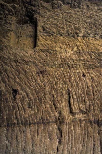 Exploring Experimental Mine Deep Woods Coal Once Mined — Stock Photo, Image