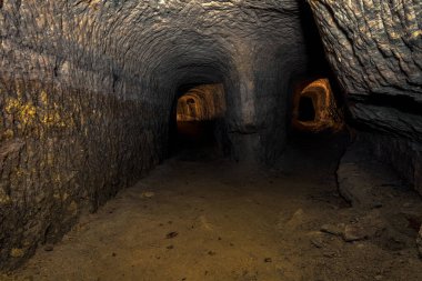 Bir zamanlar kömürün çıkarıldığı ormanın derinliklerindeki deneysel bir madeni araştırıyorum.