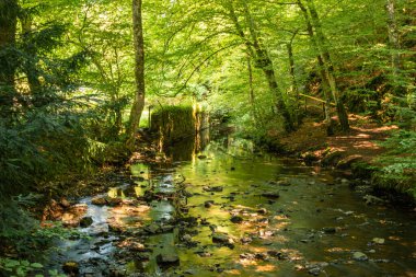 Krottorf Kalesi yakınlarındaki vadide, Wissen Nehri 'nde.
