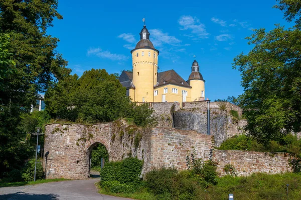 Sentinelle Dans Les Vignes Près Rhoendorf Sous Les Drachenfels — Photo