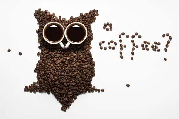 Coffee bean owl — Stock Photo, Image