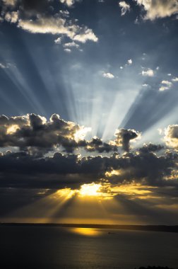 yapraklara bulutlu gün batımında