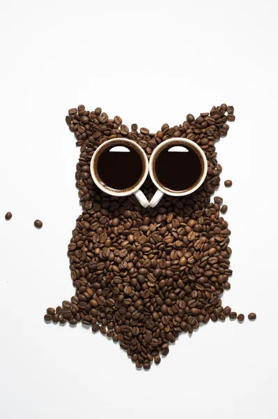 Coffee bean owl — Stock Photo, Image