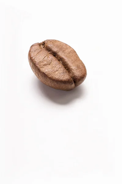 Chicco di caffè — Foto Stock