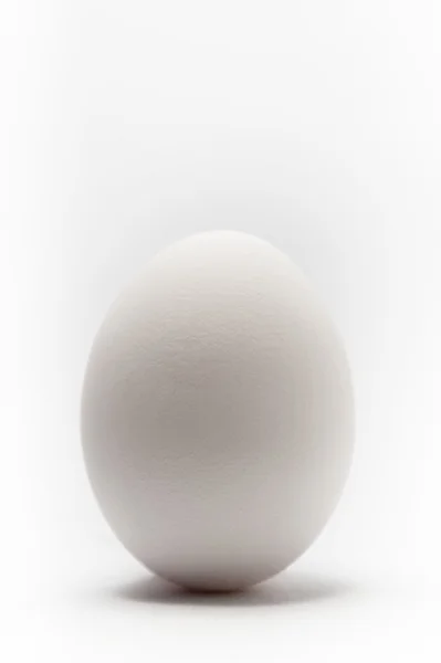 Single egg — Stock Photo, Image