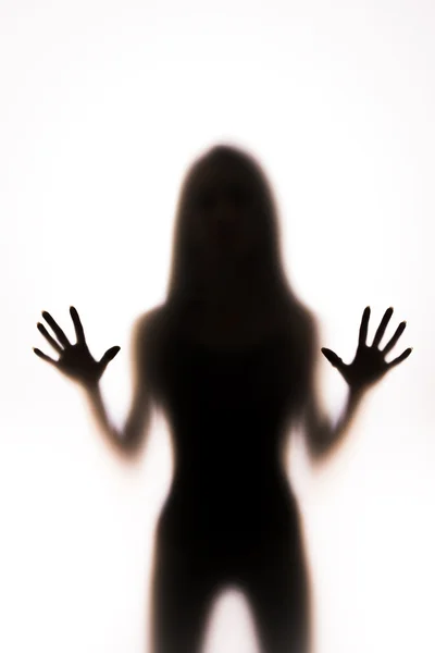 Woman silhouette — Stock Photo, Image