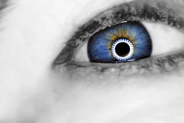 Blue eye macro — Stock Photo, Image