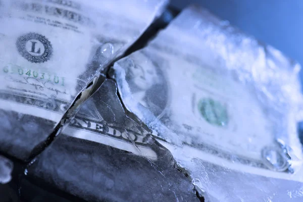 Dollaro congelato — Foto Stock