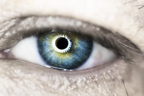 Makro niebieskie oko — Zdjęcie stockowe