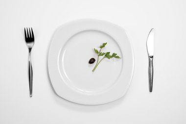 Tek Siyah Zeytin ve maydanoz