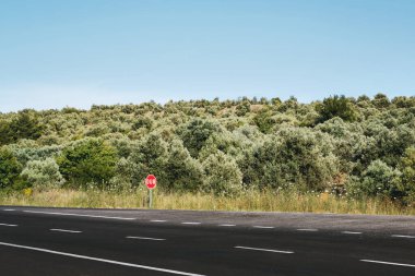 Akşamları arka planda zeytin ağaçları olan boş düz köy yolu arka planı.