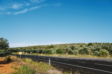 Akşamları arka planda zeytin ağaçları olan boş düz köy yolu arka planı.