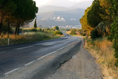 Ağaçların arasında asfalt bir yol. Çayırda yol.