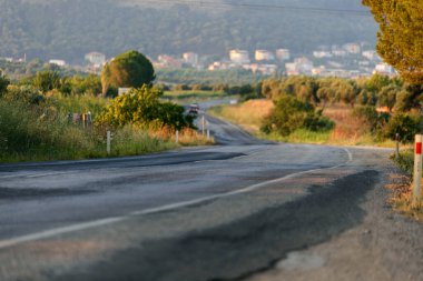 Ağaçların arasında asfalt bir yol. Çayırda yol.