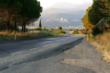 Ağaçların arasında asfalt bir yol. Çayırda yol.