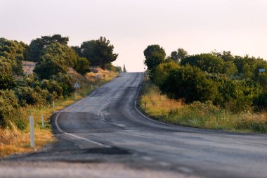 Ağaçların arasında asfalt bir yol. Çayırda yol.