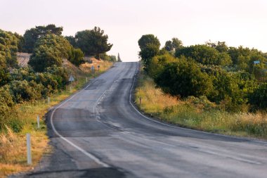 Ağaçların arasında asfalt bir yol. Çayırda yol.