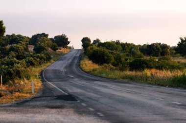 Ağaçların arasında bükülen asfalt bir yol. Çayırda yol.