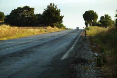 Ağaçların arasında asfalt bir yol. Çayırda yol.