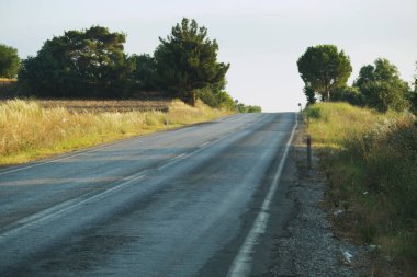 Ağaçların arasında asfalt bir yol. Çayırda yol.
