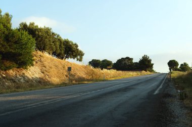 Ağaçların arasında asfalt bir yol. Çayırda yol.