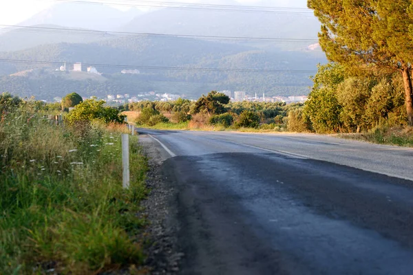 Eine Asphaltierte Straße Zwischen Den Bäumen Straße Auf Wiese — Stockfoto