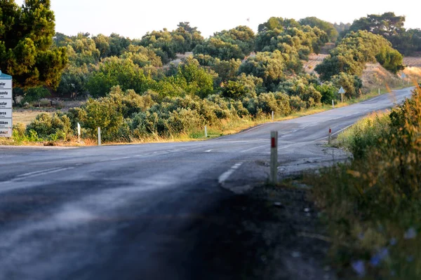 Eine Kurvenreiche Asphaltstraße Zwischen Den Bäumen Straße Auf Wiese — Stockfoto