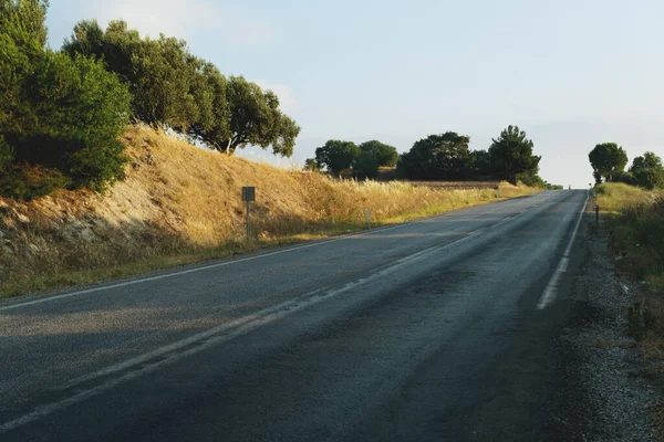 Ağaçların arasında asfalt bir yol. Çayırda yol.