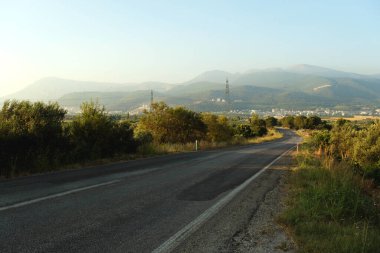 Ağaçların arasında asfalt bir yol. Çayırda yol.