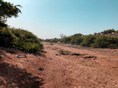 A dried up river bed in Djibouti. clipart