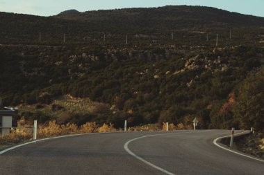 Ağaçlar ve çalılarla tek şeritli bir yolu bükmek.