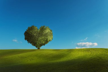 Tarımsal alanda kalp şeklinde bir ağacı olan çayır ve gökyüzü arka planı