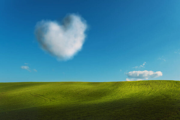 Meadow and sky background with a heart shaped tree at an agricultural field