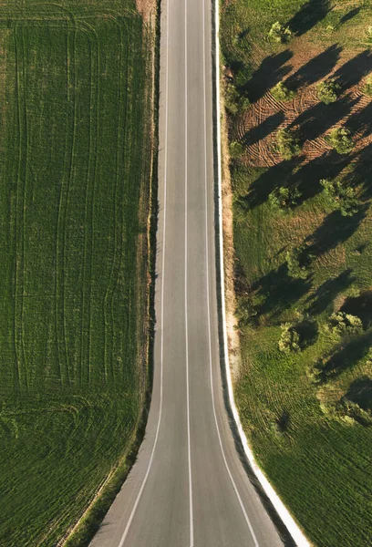 Luchtfoto Van Een Bochtige Weg Met Olijfbomen — Stockfoto