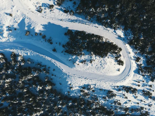 Vista Superior Camino Inclinado Nevado Entre Pinos — Foto de Stock