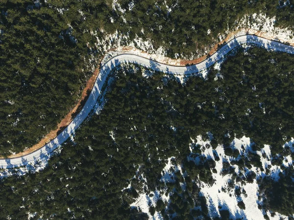松树间一条弯弯曲曲的雪路的俯瞰图 — 图库照片