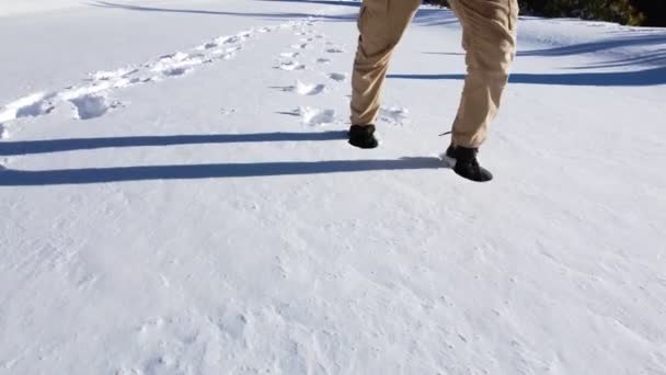 Volg Voetstappen Tijdens Het Wandelen Sneeuw — Stockvideo