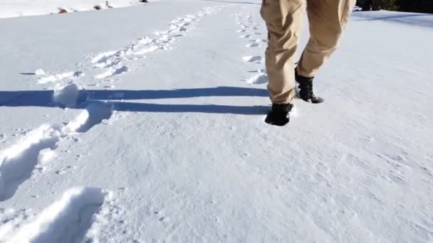 Прогуливаясь Снегу — стоковое видео