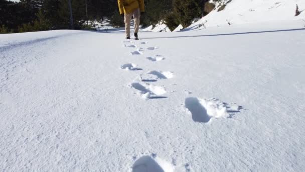 雪の上を歩くときの足の手順に従う — ストック動画