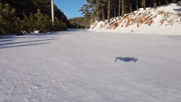 Una Cámara Drones Está Volando Bajo Largo Del Camino Nevado — Vídeo de stock