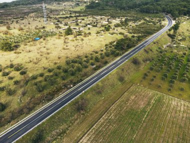 Çayır ve zeytin tarlaları olan bir köy yolunun hava çapraz görüntüsü